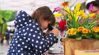 Merano Flower Festival [upl. by Nnaecarg]