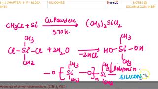 SILICONESClass11 Chapter11CBSENCERT [upl. by Assetal]