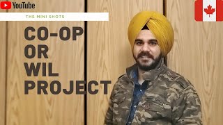 All About Coop and WIL Project ll lambton college ll Sarnia ll Toronto [upl. by Valeria]