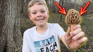 Morel Mushroom Hunting Catch Clean and Cook [upl. by Naawaj]