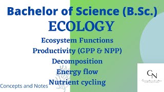 Ecosystem functions  Productivity  Primary and secondary productivity GPP and NPP  For BSc [upl. by Jacquenette]