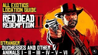 Red Dead Redemption 2 ★ Stranger Duchesses And Other Animals All Exotics Location Guide [upl. by Culver]