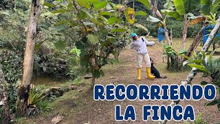 Recorriendo la finca a ver qué hay de nuevo  Candy Bu [upl. by Rialcnis]