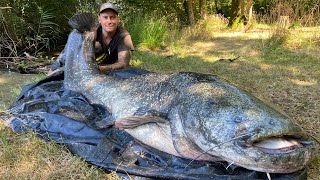 💣big catfish💣Big mama💣Silurus Glanis💣Grand siluro💣Große Wels💣kapitále sumce💣218cm 247 cm🍾💣😊🇸🇰🇫🇷 [upl. by Eah]