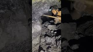 Underground Coal Mining ⛏️  Mines  Miners  Underground workers miners coalmining mining [upl. by Reg]