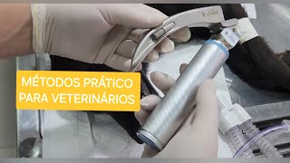 PASSAGEM DE TUBO ENDOTRAQUEAL [upl. by Gabriela]