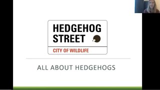 Hedgehog Street All about hedgehogs [upl. by Callie]