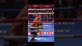 Canelo Álvarez vs Sergey Kovalev [upl. by Jallier]