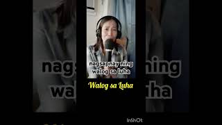 Walog sa Luha  Rosalie Robles cover by reggz visayansongs [upl. by Laural]