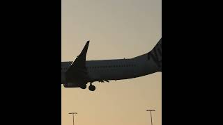 Virgin Airlines arrival on Runway 23  Adelaide Airport 3924 [upl. by Morice]