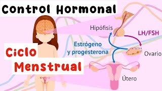 Control hormonal del ciclo menstrual Eje hipotálamohipófisisgónada [upl. by Aisenat]