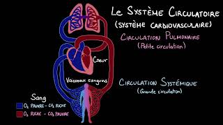 Le système circulatoire  Introduction [upl. by Cassi201]