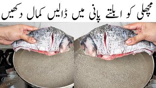 Yummy And Delicious Fish Recipe l Easy And Quick Recipe l Winter Special Fish Recipe [upl. by Hephzipah]