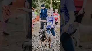 ❤️ canicross dog malinois course [upl. by Neelyk608]