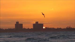 Fin de journée au Club Los Delfines Varadero [upl. by Damalis393]