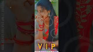 VIP Song Arjun r meda new gujrati timli song status 2024 arjunrmedanewtimli [upl. by Ahsienad]