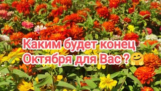 Выбери один из трёх вариантов и узнай каким будет конец Октября 🌹 [upl. by Dexter]