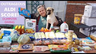 FREE FOOD MEAT KITCHEN GADGETS CAR ACCESSORIES AND MORE DUMPSTER DIVING AT ALDI freeganism [upl. by Sonnie]