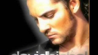 DAVID BISBAL AMAR ES LO QUE QUIERO SALSA [upl. by Ynaffet684]