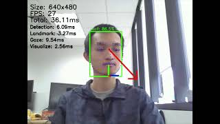 Gaze Estimation on Raspberry Pi 4 [upl. by Mccarty]