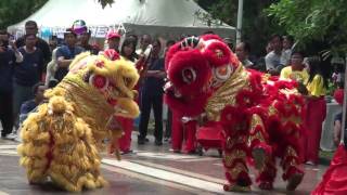 Barongsai Dance [upl. by Nahseez487]