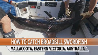 Fishing Edge episode  How To Catch Broadbill Swordfish [upl. by Teria145]