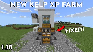 Simple Kelp XP Farm in Minecraft Bedrock 118 [upl. by Chuu704]