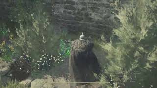 El mejor lugar para hacer ramos de flores Dragons Dogma 2 [upl. by Lilaj962]