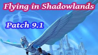 How to Obtain Flying in Shadowlands  World of Warcraft PTR [upl. by Lasko494]