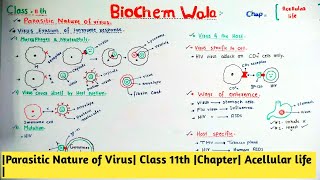 Parasitic Nature of Virus Class 11th Chapter Acellular life [upl. by Anirda]