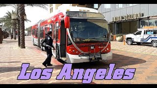 Internacional  Buses de LOS ANGELES California [upl. by Minnie]