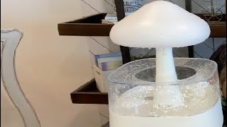 Essential Oil Diffuser Night Light Aromatherapy Cloud Rain Humidifier Review [upl. by Carree]