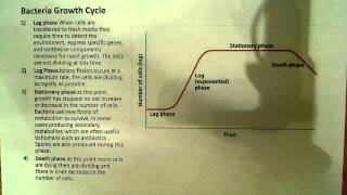 Bacteria Growth curve [upl. by Koziel881]