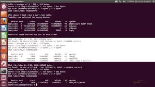 Ubuntu 1204 Forensics  Listing Disks With FDISK [upl. by Belldame648]