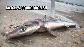 Lets Try SPINY DOGFISH SHARK  Fish amp Chips Catch Clean amp Cook Not Megladon [upl. by Simmonds]