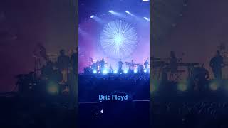 coverband concert amsterdam concert musicloversonly music britfloydofficial afaslive [upl. by Whitney]