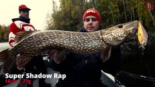 RAPALA Super Shadow Rap chez Crankysfr [upl. by Barbie280]