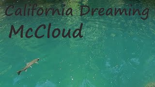 California Dreaming McCloud [upl. by Nairb]