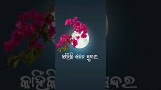 Mo niswasa chalena to bina odia songyoutubeshorts shortsvideo trending shorts odiasong viral [upl. by Ajiam]