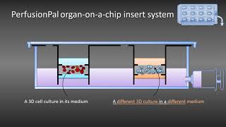 PerfusionPal organonachip [upl. by Eilerua]