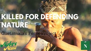 Guatemalas Fenix Project A War over Consumerism amp Indigenous Rights Nature News [upl. by Aihsele887]