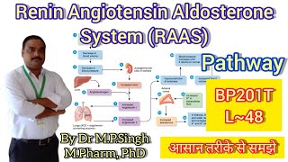 Role of Renin Angiotensin Aldosterone System  Human Anatomy PhysiologyII  BP201T [upl. by Oiciruam]