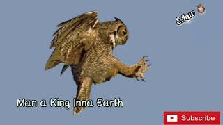 Masicka Man a King Inna Earth lyric video [upl. by Christye415]