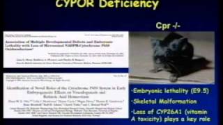 Molecular and Cellular Effects of Human Polymorphic Variants of NADPHCytochrome P450 Reductase [upl. by Otinauj460]