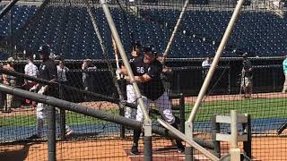 Yankees’ DJ LeMahieu takes BP in spring training [upl. by Cointon]