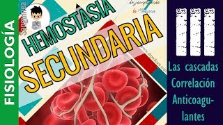 HEMOSTASIA SECUNDARIA TEORIA ANTERIOR DE LA COAGULACIÓN CASCADAS FISIOLOGÍA SanguineaP3 [upl. by Glendon594]