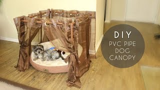 DIY PVC Pipe Dog Canopy [upl. by Nnylatsyrc]