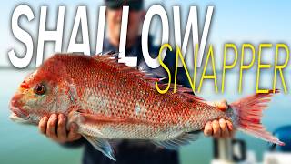 Shallow Water Snapper [upl. by Nedloh]