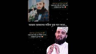 নফল নামাজ 🛐আদায় করার ফজিলত ❤️✨mizanurrahmanazhari bangladesh shortsfeed foryou [upl. by Helve]