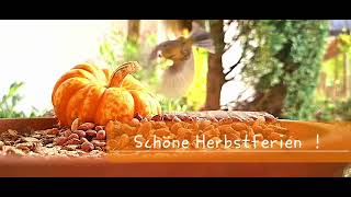 Schöne Herbstferien [upl. by Klute167]